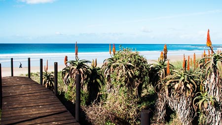 Jeffreys Bay to Tsitsikamma